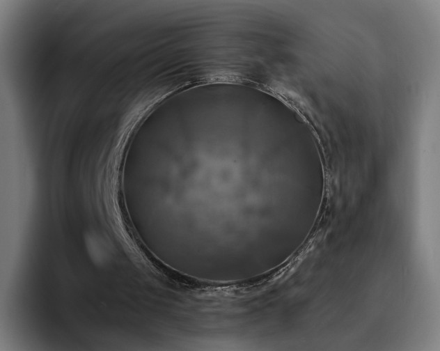 X0000094900049200712061037