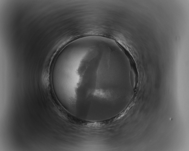 X0000094900050200712061037