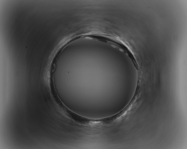 X0000094900055200712061037