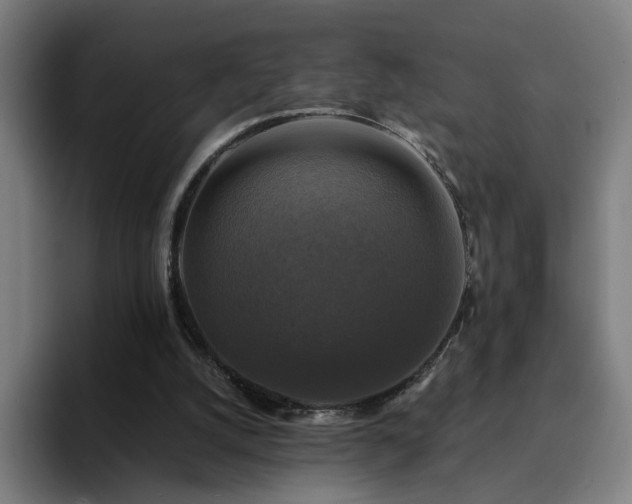 X0000094900056200712061037