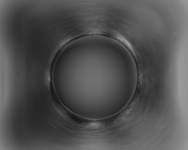 X0000094900059200712061037