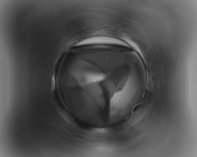 X0000094900061200712061037