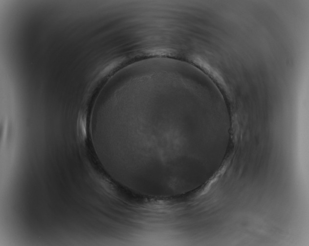 X0000094900062200712061037