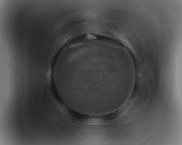 X0000094900066200712061037