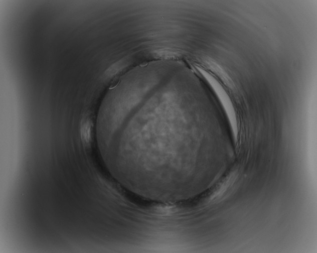X0000094900071200712061037