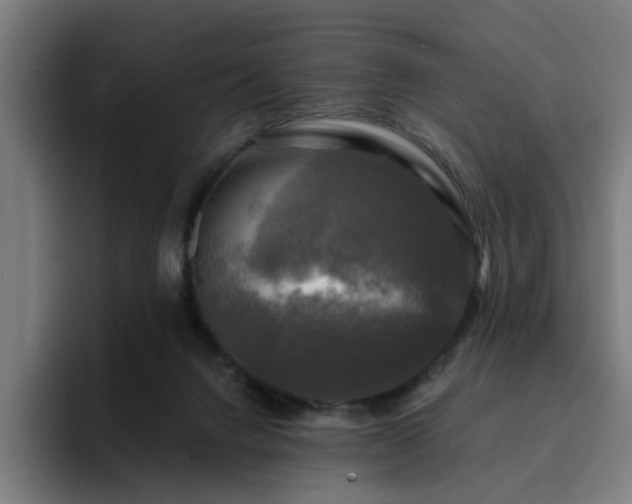 X0000094900072200712061037