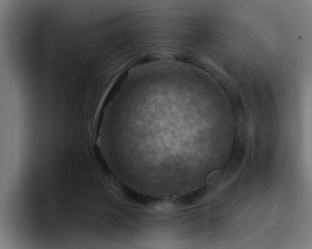 X0000094900075200712061037