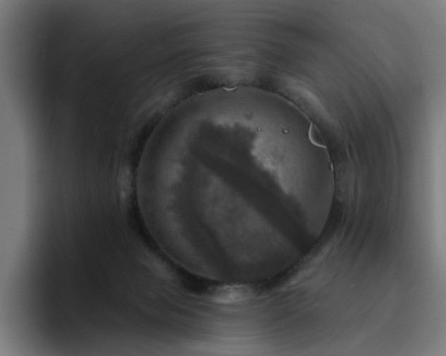 X0000094900077200712061037