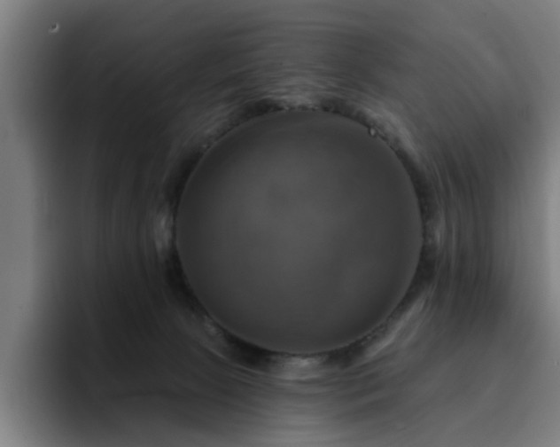 X0000094900081200712061037