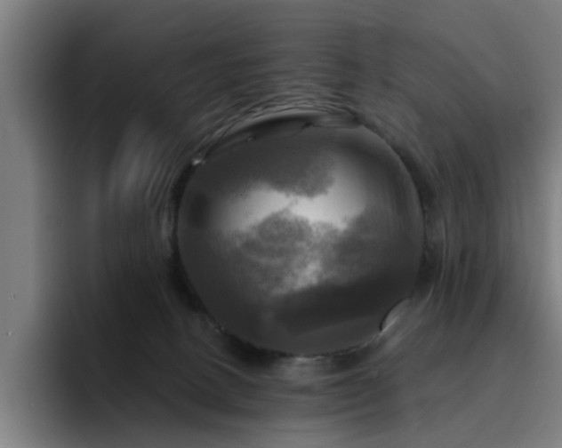 X0000094900082200712061037
