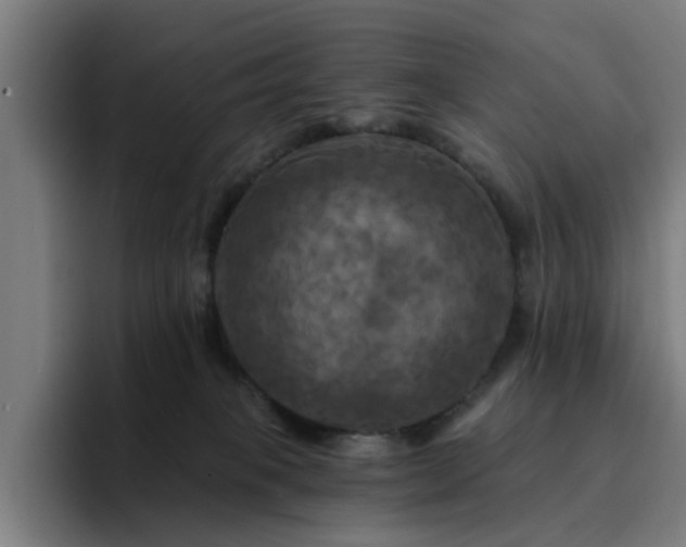 X0000094900085200712061037