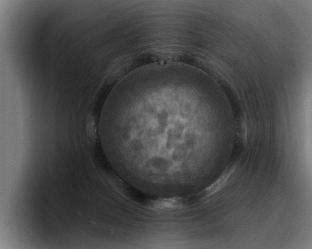 X0000094900086200712061037