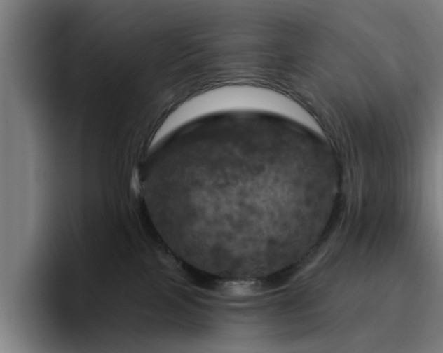 X0000094900089200712061037