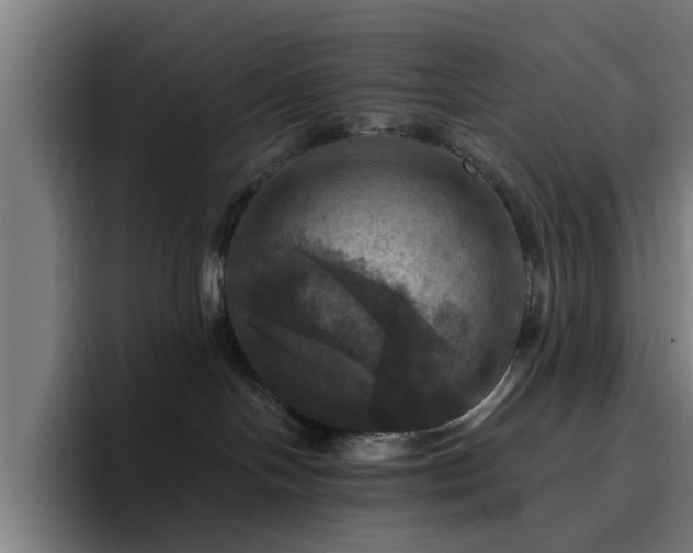 X0000094900094200712061037