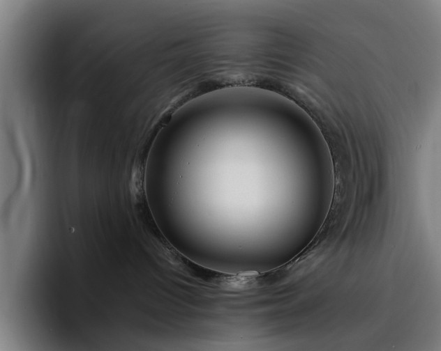 X0000094900096200712061037