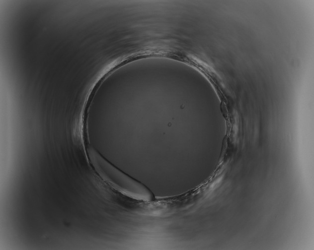 X0000094900100200712061037