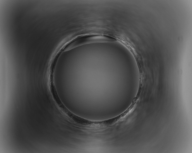 X0000094900101200712061037