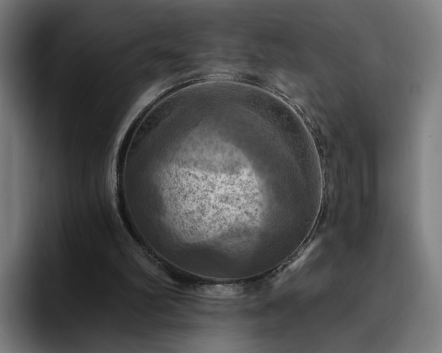 X0000094900102200712061037