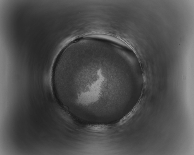 X0000094900104200712061037
