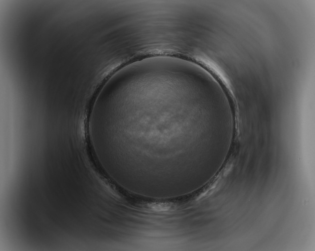 X0000094900105200712061036