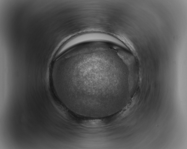 X0000094900108200712061036