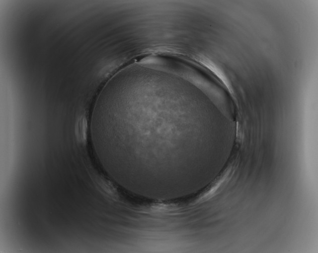 X0000094900109200712061036