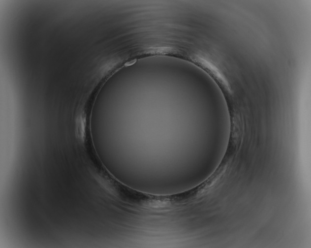 X0000094900110200712061036