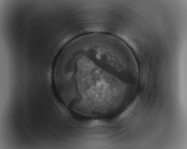 X0000094900111200712061036