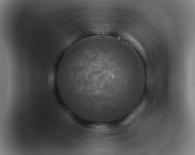 X0000094900113200712061036