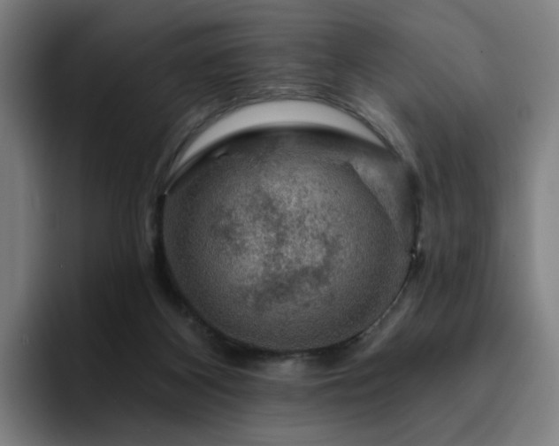 X0000094900116200712061036