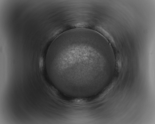 X0000094900117200712061036