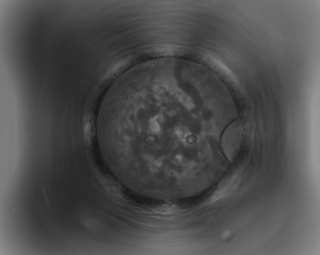 X0000094900119200712061036