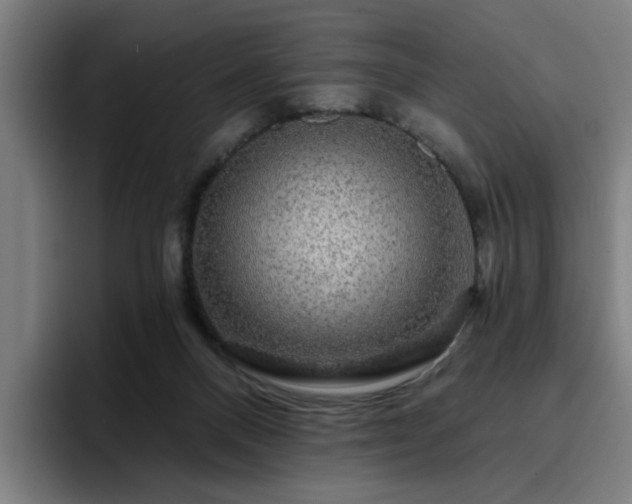 X0000094900120200712061036