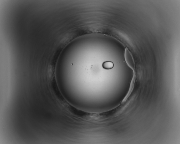 X0000094900121200712061036