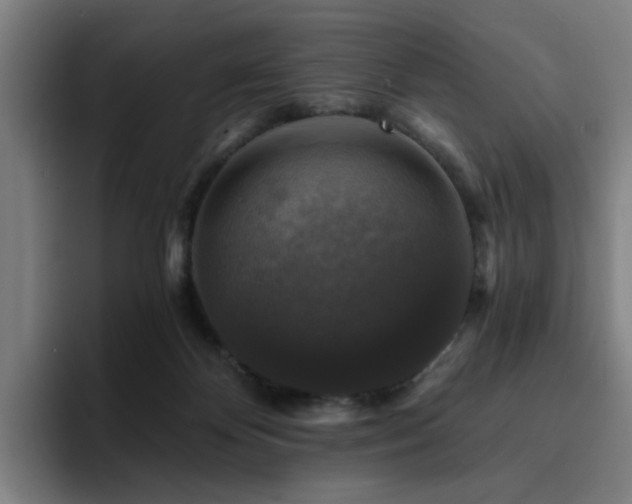 X0000094900124200712061036