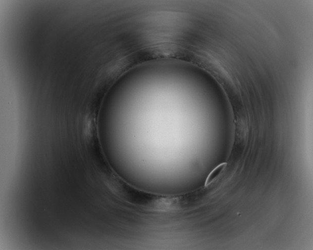 X0000094900126200712061036