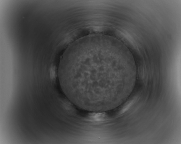 X0000094900135200712061036