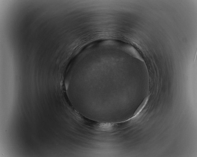 X0000094900144200712061036
