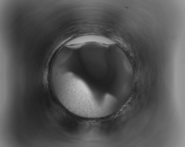 X0000094900146200712061035