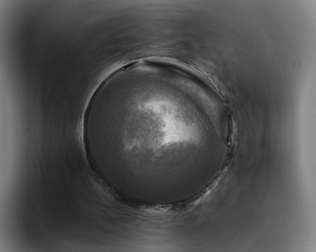 X0000094900148200712061035