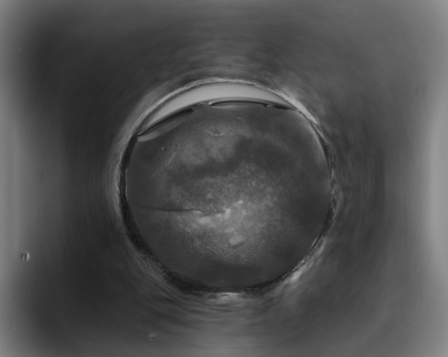 X0000094900151200712061035