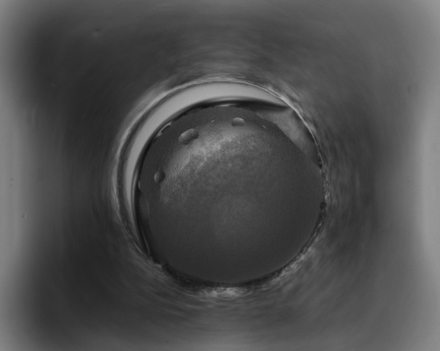X0000094900152200712061035