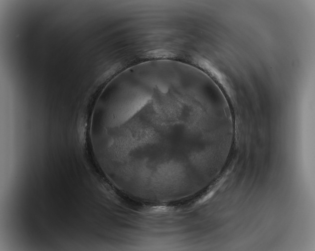 X0000094900153200712061035