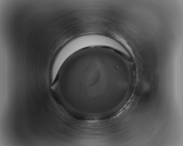 X0000094900154200712061035