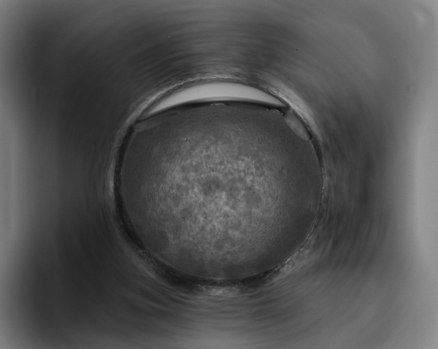 X0000094900155200712061035