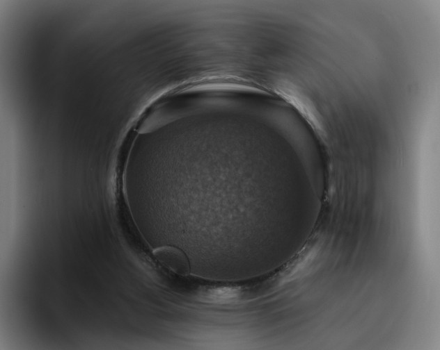X0000094900156200712061036