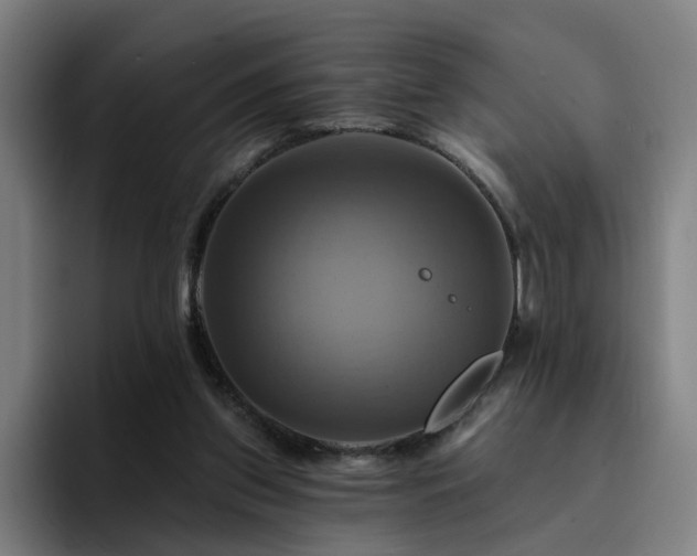X0000094900157200712061036