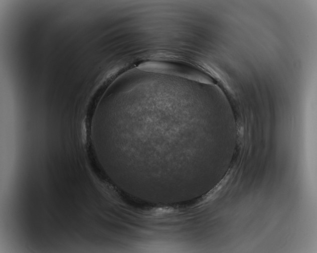 X0000094900158200712061036