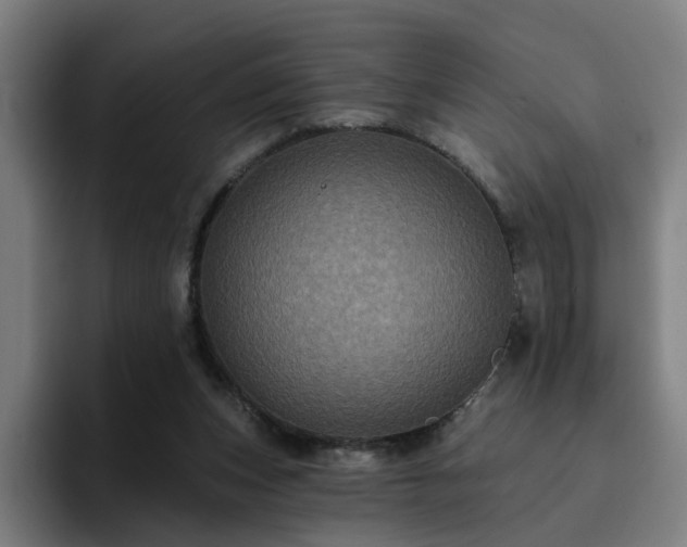 X0000094900159200712061036