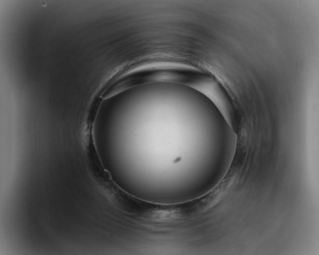 X0000094900160200712061036